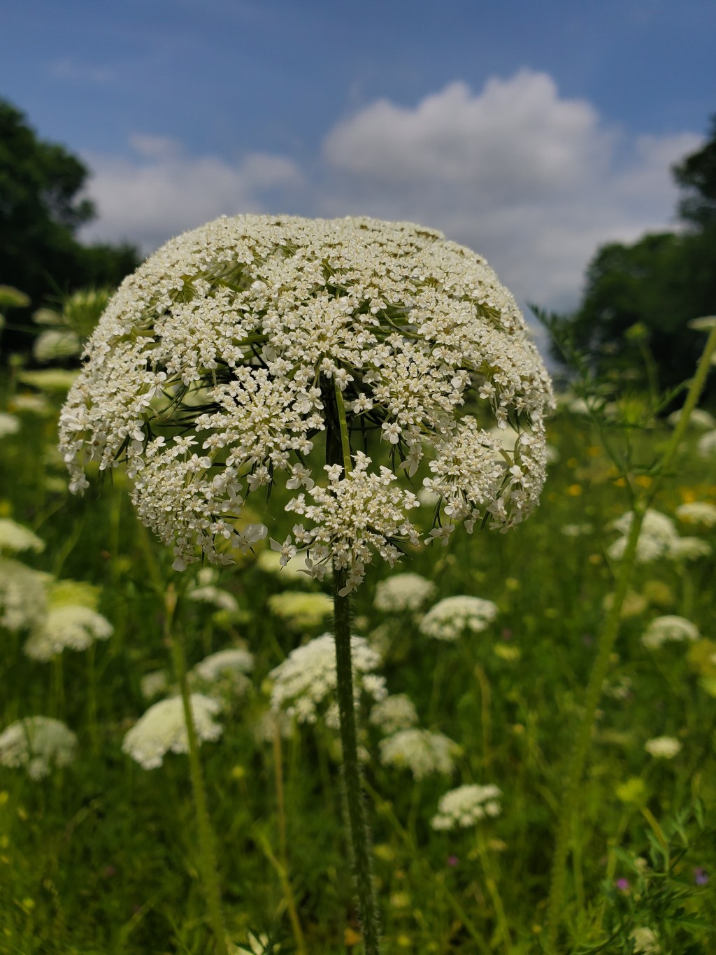 Peace, Calm, & the Overthinking&nbsp;Mind