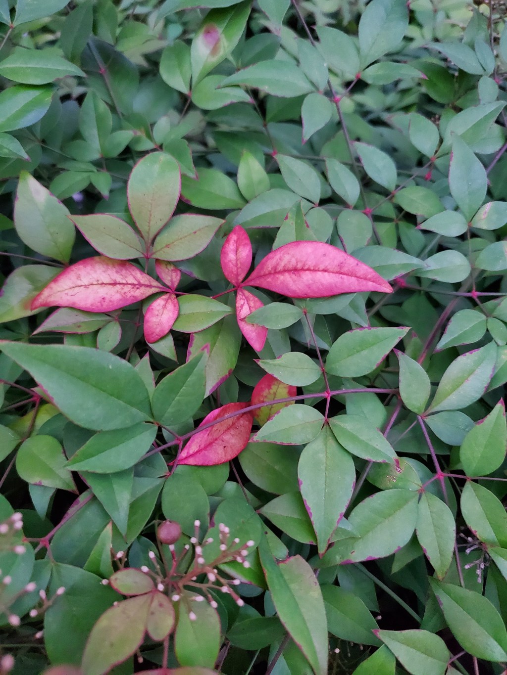 Healing is a Long&nbsp;Process