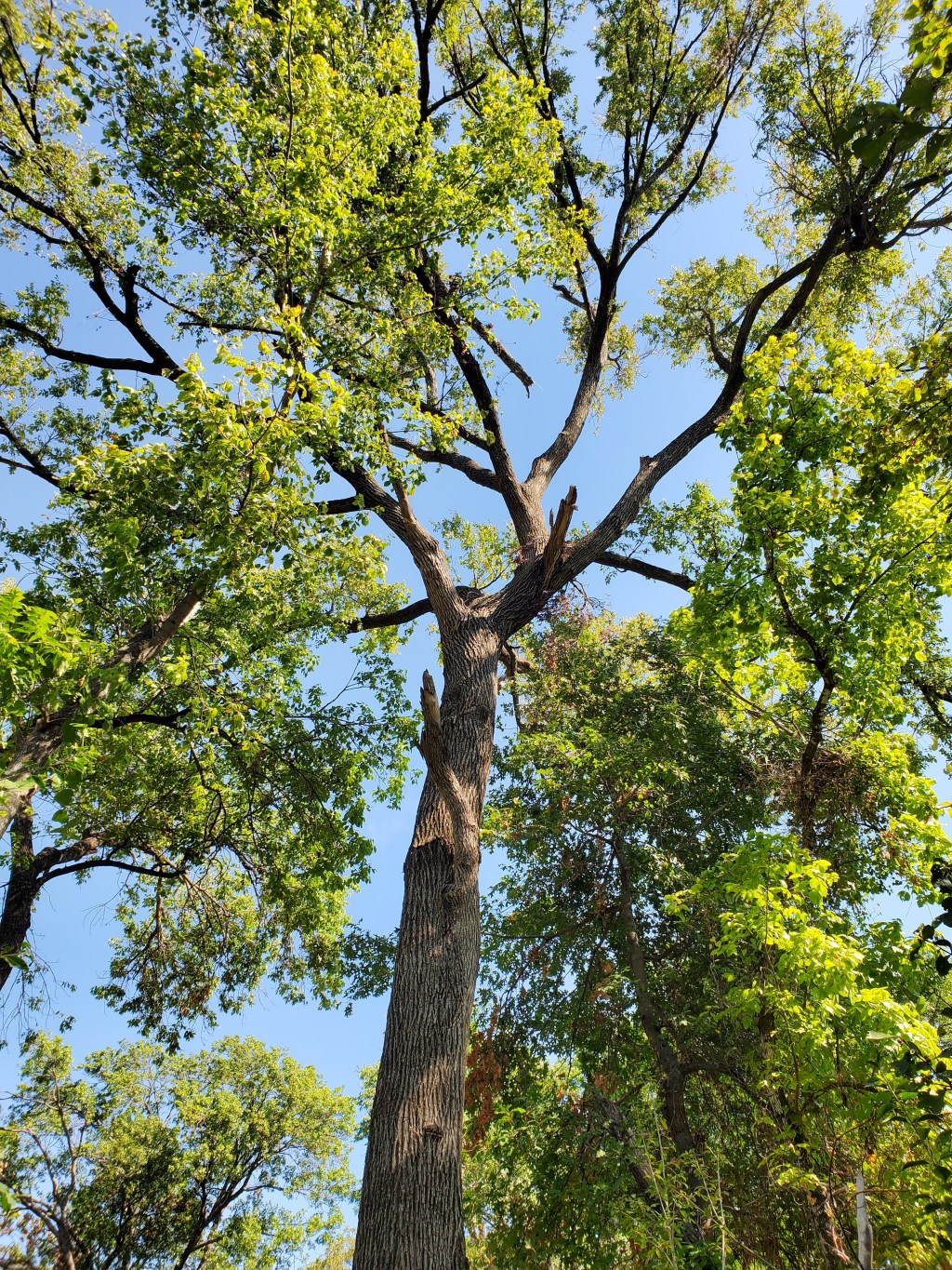 You Need to Lose&nbsp;Yourself