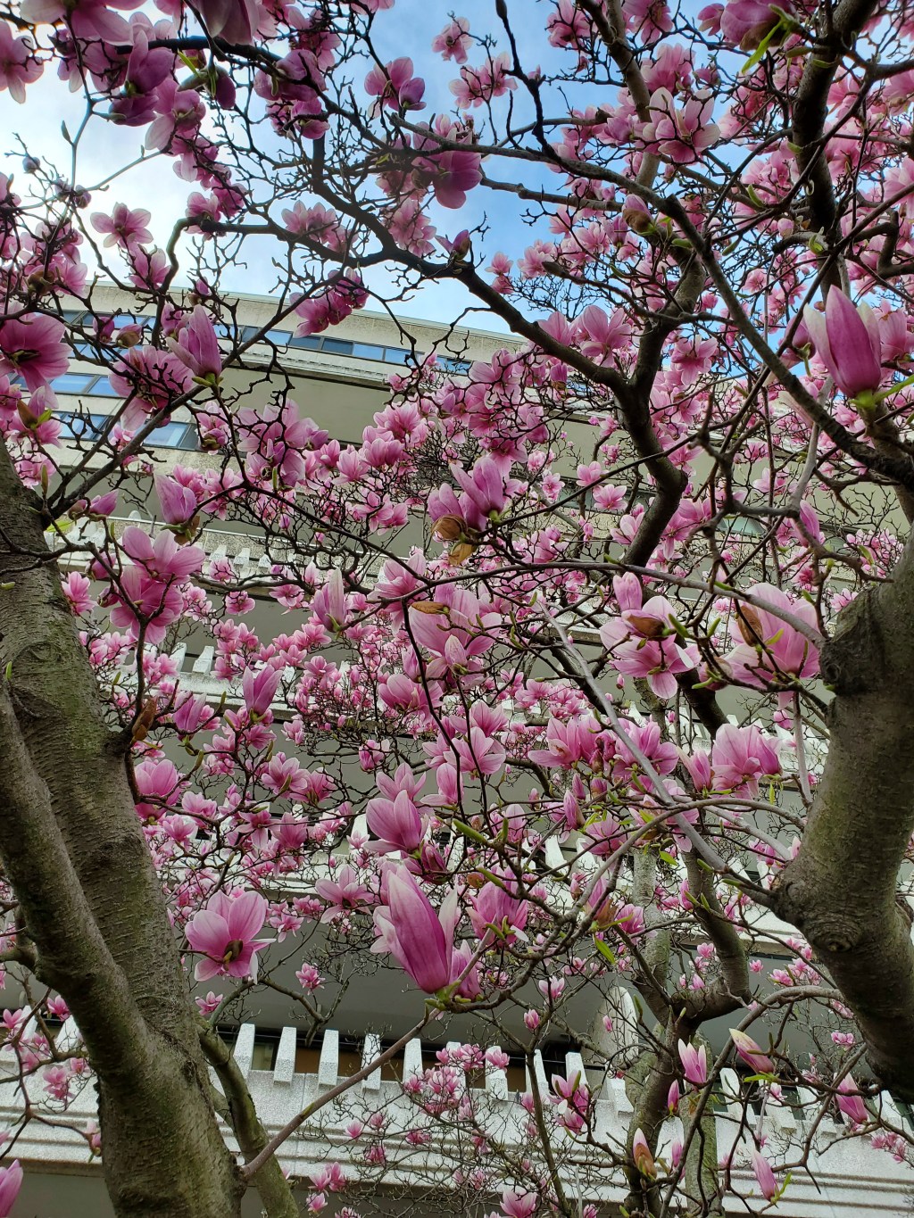 What I’ve Learned After 6 Months of&nbsp;Therapy