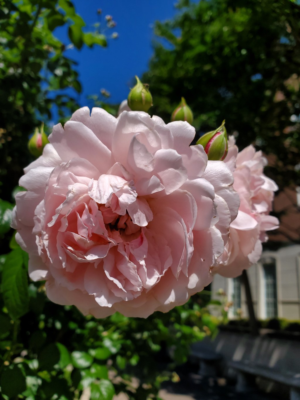 What it Means to Endure&nbsp;Poems